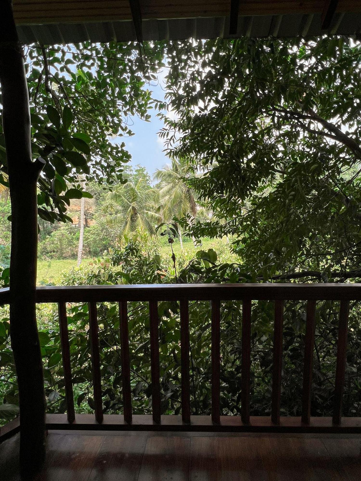 Cinnamon View Lodge Mirissa Camera foto
